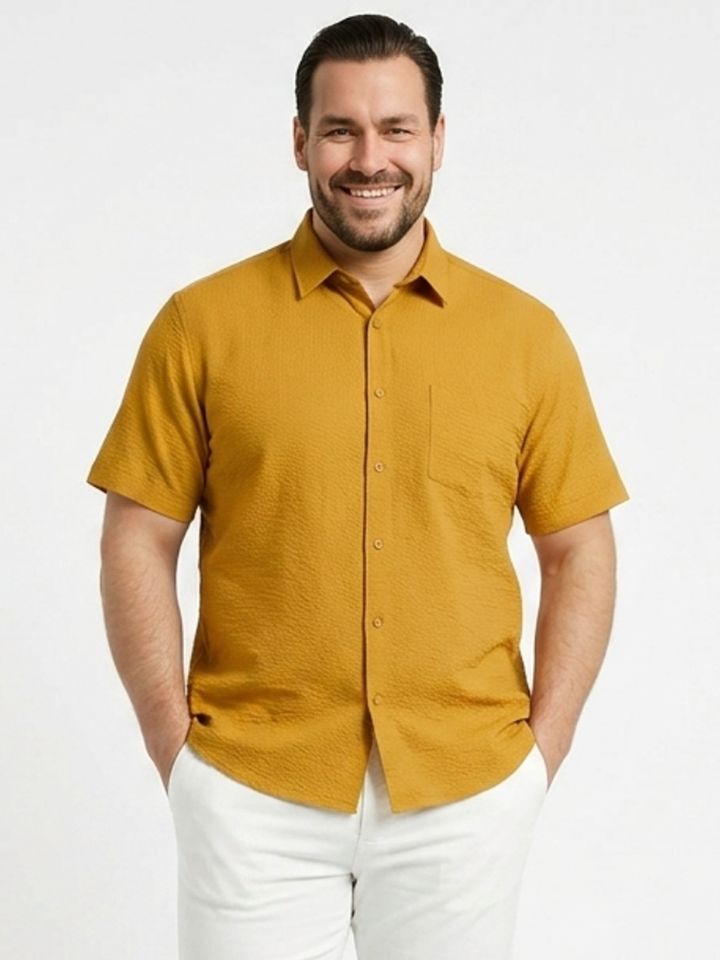 PLUS SIZE SOLID SHIRT FOR MEN | XL-7XL