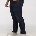 BIG HELLO - THE PLUS LIFE-Rinse Wash Cotton Stretch Jeans